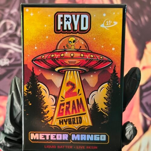 FRYD V2 METEOR MANGO (HYBRID) 2gr