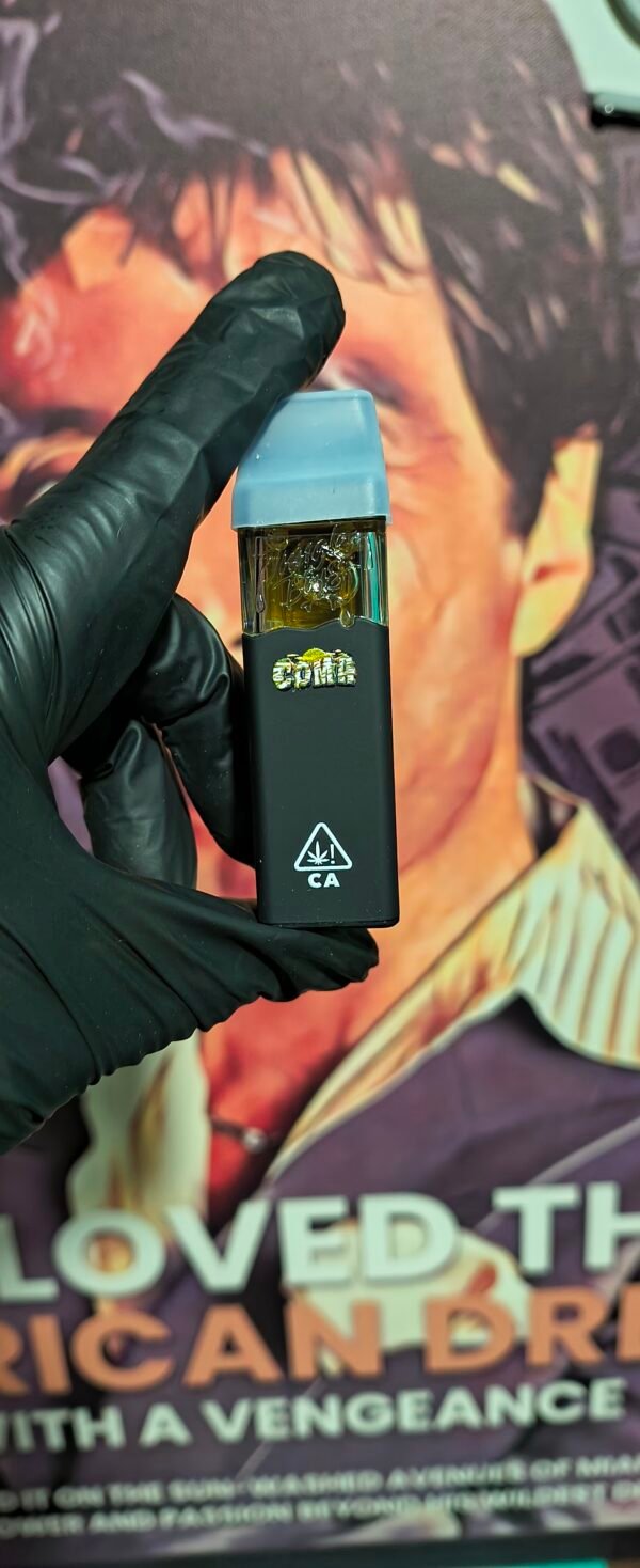 JUNGLE BOYS NEGRO COMA (HYBRID) 2gr