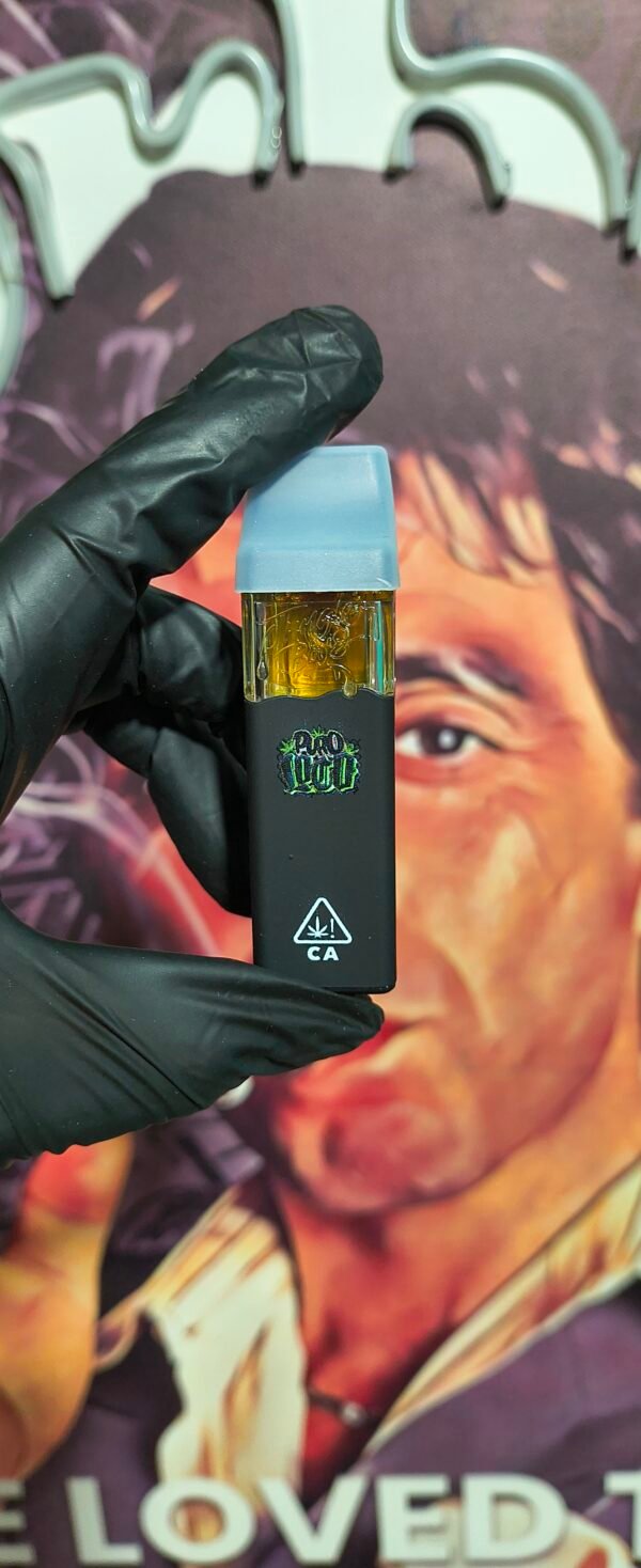 JUNGLE BOYS NEGRO PURO LOCO (HYBRID) 2gr