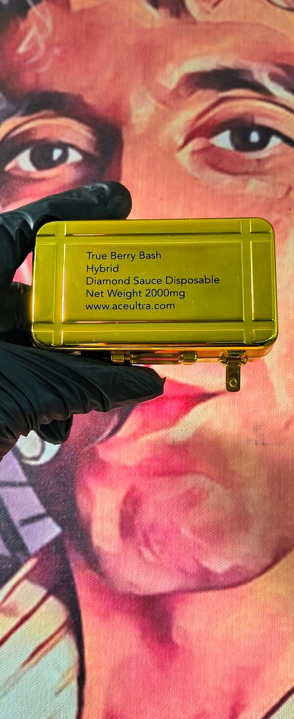 ACE ULTRA PREMIUM TRUE BERRY BASH (HYBRID) 2gr