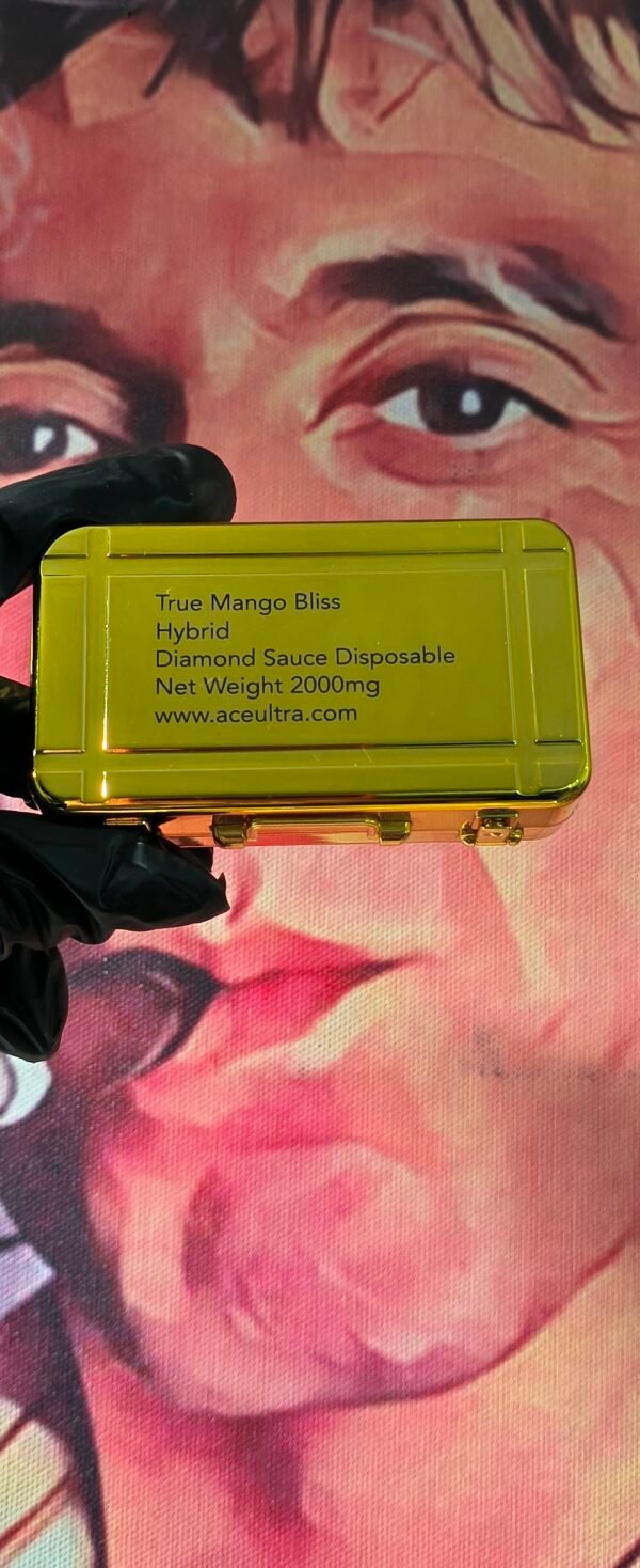 TRUE MANGO BLISS 1 ACE ULTRA PREMIUM TRUE MANGO BLIS (HYBRID) 2gr
