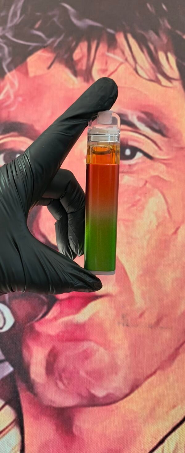 SLUGGERS DUAL RODEO OG & UFOREDZ (HYBRID & HYBRID) 2gr