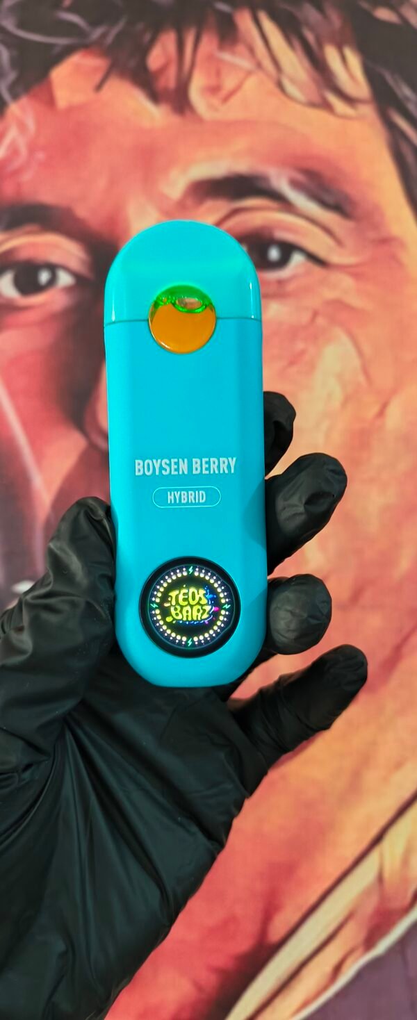 TEOS BARZ BOYSEN BERRY (HYBRID) 2gr