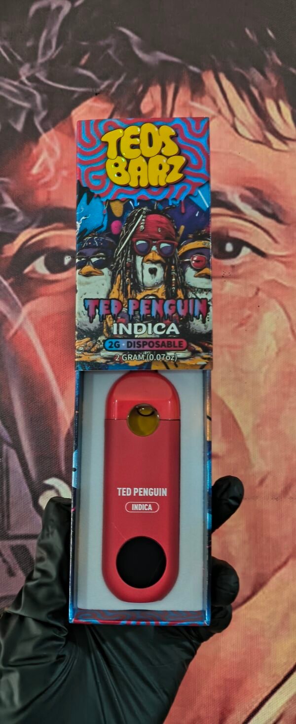 TEOS BARZ TED PENGUIN (INDICA) 2gr